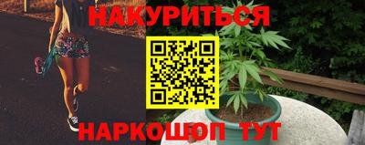 гидра Моздок