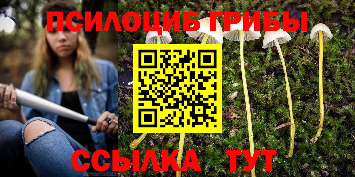 Иркутск  Псилоцибиновые грибы GOLDEN TEACHER  Вход с VPN 