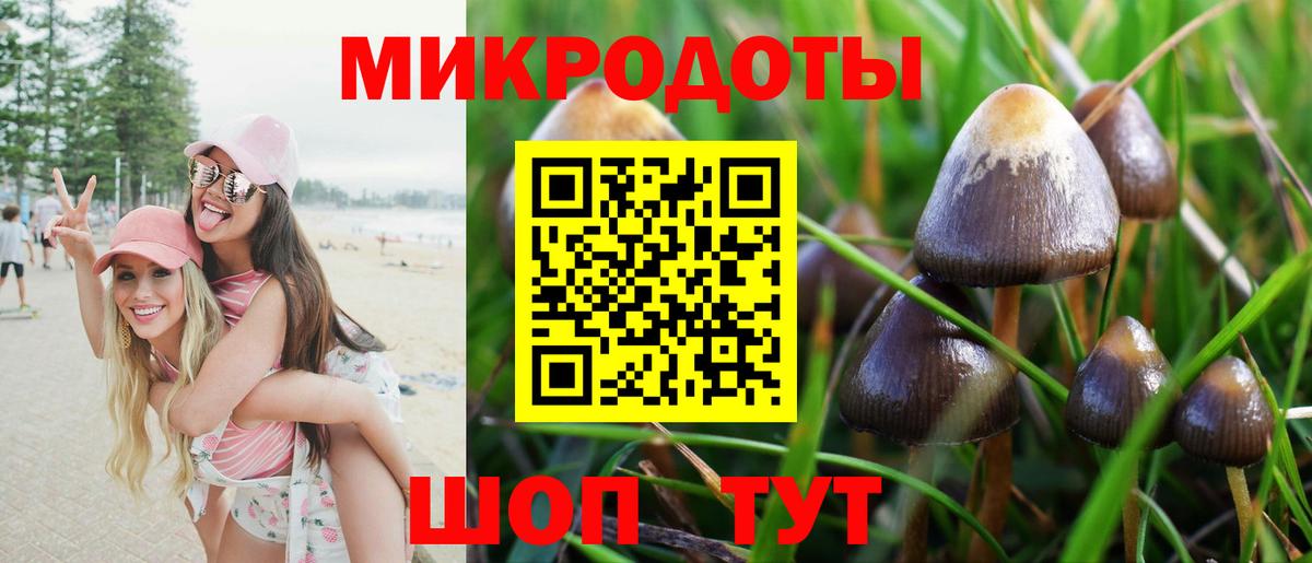 Галлюциногенные грибы GOLDEN TEACHER Иркутск